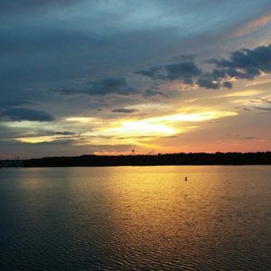 Meet your Posher, Penny